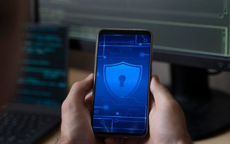 دلیل وجود تنوع و انواع وی‌پی‌ان چیست؟